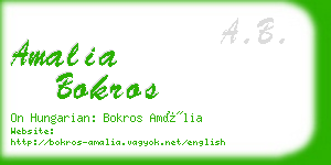 amalia bokros business card